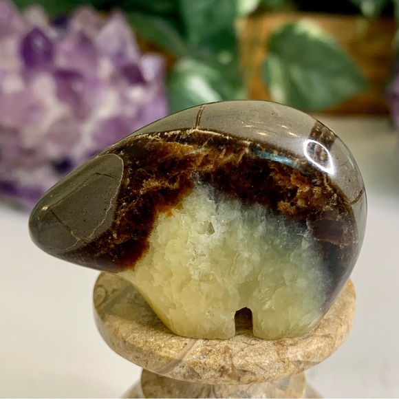 Geode Septarian Nodule Bear Figurine Carved Zuni Style Dragon Stone Carving 2" - Picture 1 of 12
